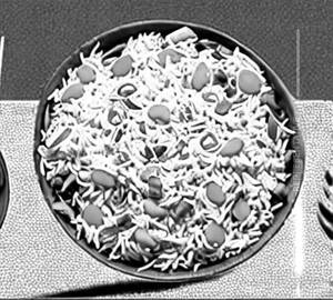 Fried rice egg