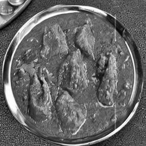 Aatukal Paya