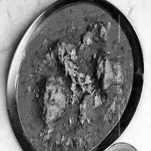 Methi Murgh