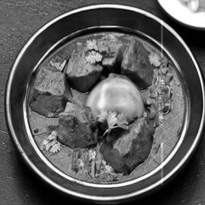 Egg Pokora