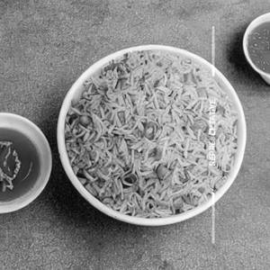 Beef fried rice