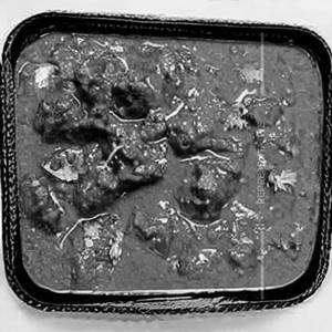 Rara Gosht
