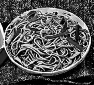 Veg Schezwan Noodles