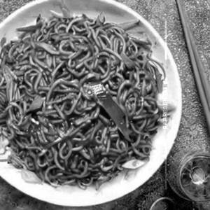 Spicy Mushroom Freid Noodles