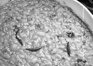 Arhar Dal Khichri