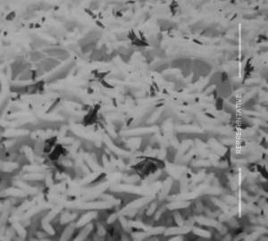 Lemon rice