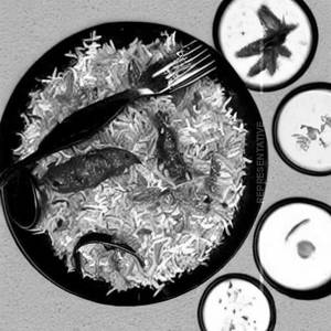 Chk BIRIYANI HLAF