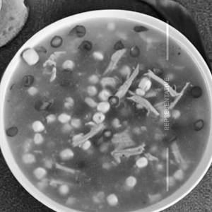 Pork sweet corn soup