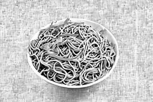 Veg Noodles
