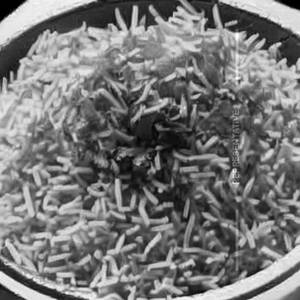 Panner Rice