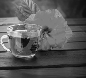 Hibiscus tea