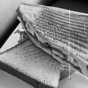Normal Egg Sandwich