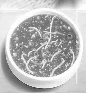Veg Hot & Sour Soup