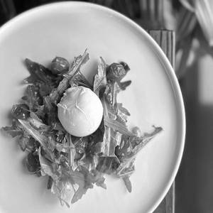 Good Fat Burrata