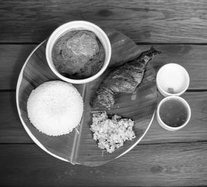 Fish Meals