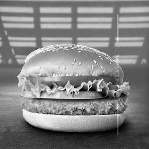 Veg Cheese Burger