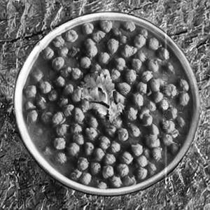 Chana Fry Plain