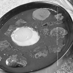 Egg Kolapuri