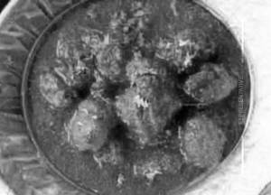 Bangda Puli Munchi