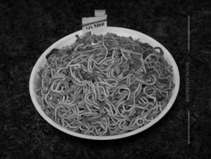 Mixed Non Veg Noodles