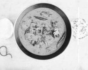 Navratan Korma