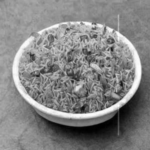Manchurian Fried Rice [Paneer]