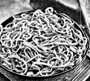 Veg hong kong noodle