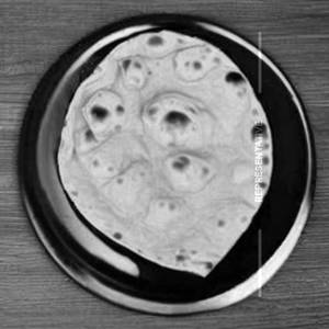 Butter Roti