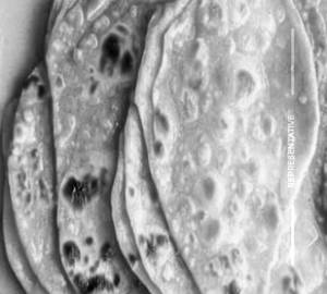 Ghee Chapati