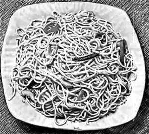Schezwan Noodles (Mix)