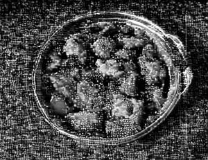 Veg Handi
