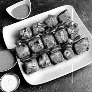 Paneer Tikka Paneer Pahadi Kebab