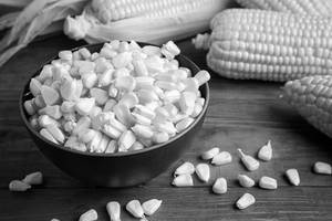 Golden Corn