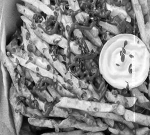Loaded fries