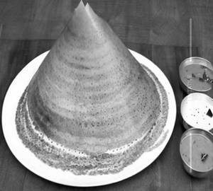 Dosa Roast