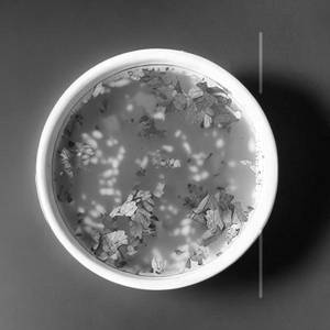 Lemon Coriander Soup