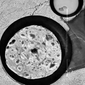 Tandoor Butter Paratha