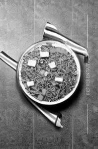 Paneer fried rice