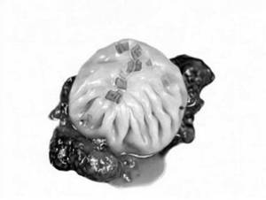 Truffle Mushroom Dumplings