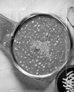 Yellow Plain Dal