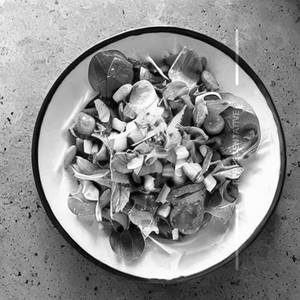 Green Salad 