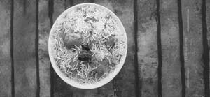 Aloo Biryani.
