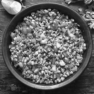 Sprout Salad