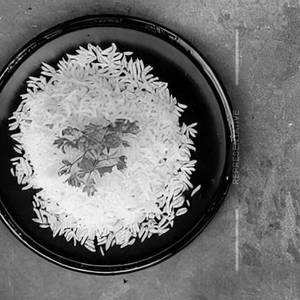 Steam Rice