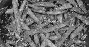 Netthili Fry