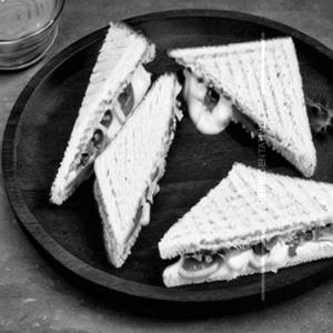 Cheese Sandwich