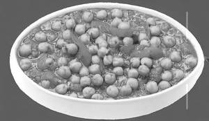 Chana Masala