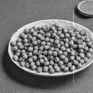 Channa Pindi Dry
