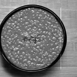 Plain Dal
