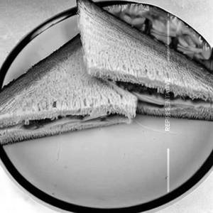 Sweet Corn cheese sandwich